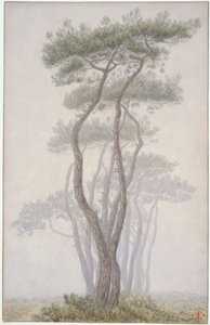  av Henri Rivière