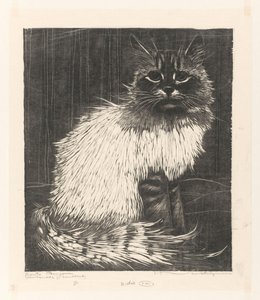 Bonte Angora (original tittel på objekt)