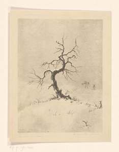 Lonely Tree (original tittel på objekt)