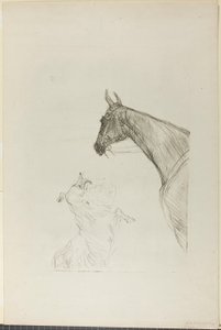 Hest og Collie