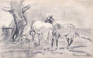 Hester