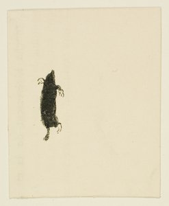 Halestykke fra Ved foten av Sinai av Henri de Toulouse Lautrec