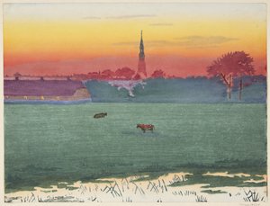 Markedsstad i myra av Henriette Hahn Brinckmann