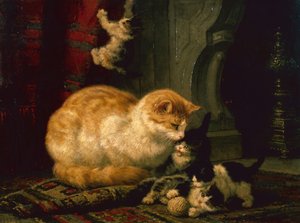Kattunger på lek (olje på panel)
