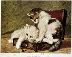 Folatrerie (kattunger) - av Henriette Ronner