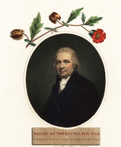 Portrett av Daniel Rutherford, botaniker.1805 (gravering) av Henry (after) Raeburn