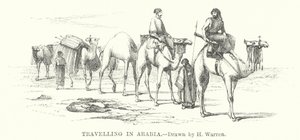 Reise i Arabia (gravering)