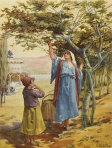 Samle fiken (farge litho)