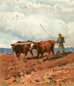 Pløying