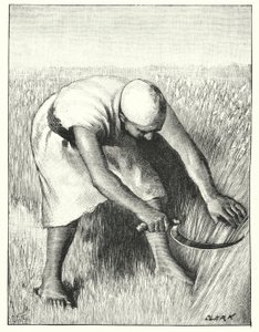 Høste i øst (litho)