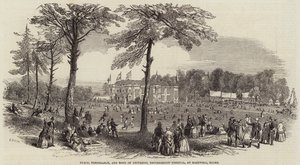 Peace, Temperance, and Bond of Universal Brotherhood Festival, i Hartwell, Bucks av Henry Anelay