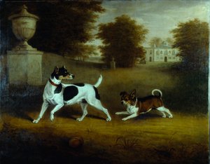 'Betty Martin', en terrier, og 'Idol', en blanding, kjæledyrhunder til den 6. hertugen i hagen på Chiswick (olje på lerret)