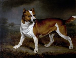 Brennesle, 1812