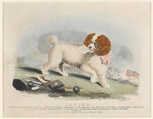 ?Sancho?, slaget ved Salamanca, 1812