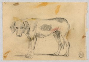 Studier av to greyhounds av Henry Bernard Chalon