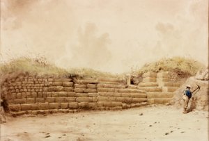 Husmannsplasser (kroppsfarge) av Henry Burdon Richardson