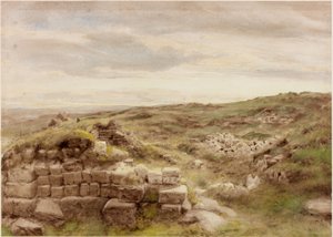 Husmannsplasser (kroppsfarge) av Henry Burdon Richardson
