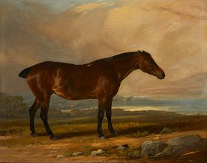 Studie av en Bay Hunter in a Landscape (olje på lerret)