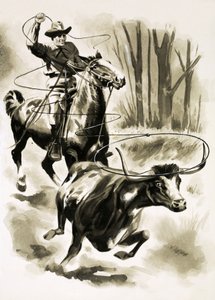 En cowboy tauer en stut fra hesteryggen med en lasso