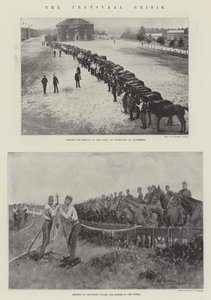 Transvaal-krisen av Henry Charles Seppings Wright