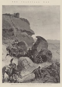Transvaal-krigen