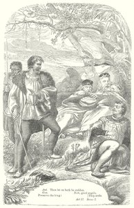 Stormen (gravering) av Henry Courtney (after) Selous