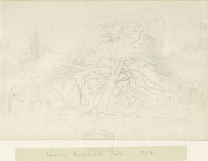 Beaudesert Park: blyanttegning, nd [1788-1855]
