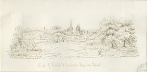 Lichfield - North View (fjern): pennetegning, nd [1788-1855] (tegning) av Henry Curzon Allport