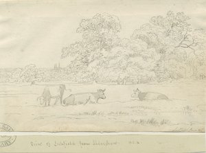 Lichfield - Utsikt fra Aldershaw av Henry Curzon Allport