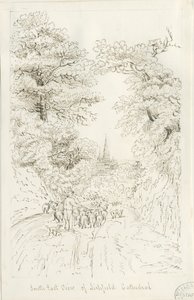 Lichfield Cathedral - South East View (fjern): pennetegning, nd [19th cent] (tegning)