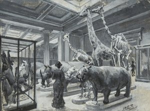 Innvendig visning av British Museum som viser galleriet som inneholder dyreutstillinger, ca. 1880 av Henry Edward Tidmarsh