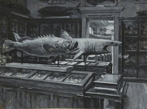 Innvendig visning av British Museum som viser galleriet med fiskeutstillinger, ca. 1880 (vask og kroppsfarge på papir) av Henry Edward Tidmarsh