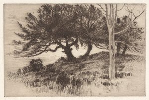 Nær sjøen av Henry Farrer