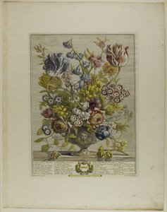 april, fra Twelve Months of Flowers av Henry Fletcher