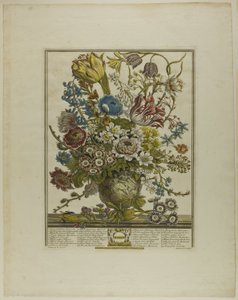 mars, fra Twelve Months of Flowers av Henry Fletcher