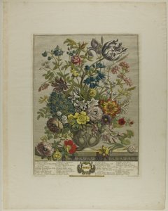 mai, fra Tolv måneder med blomster av Henry Fletcher