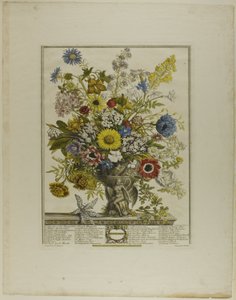 november, fra Twelve Months of Flowers av Henry Fletcher
