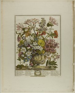 oktober, fra Tolv måneder med blomster av Henry Fletcher