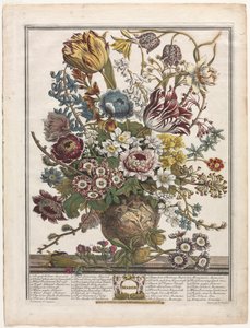 Tolv måneder med blomster: mars