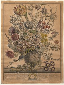 Tolv måneder med blomster: mars 1730.