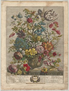 Tolv måneder med blomster: mai 1730.