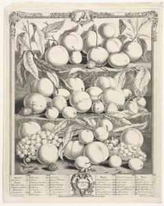 Tolv måneder med frukt: august 1732. av Henry Fletcher
