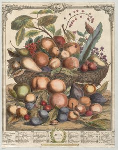Tolv måneder med frukt: juli 1732. av Henry Fletcher