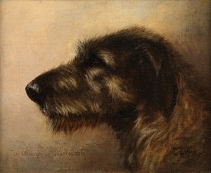 Champion Clodagh av Ouborough, den irske ulvehunden av Henry Frederick Lucas Lucas