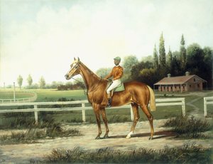 En kastanje veddeløpshest med jockey oppe på en treningsbane med staller bortenfor,