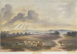 Cannock Chase - "Heath": vannfargemaleri, 1844