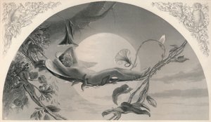 Ariel The Tempest, c1870
