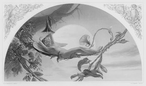 Ariel, fra bildet i Royal Collection (gravering)