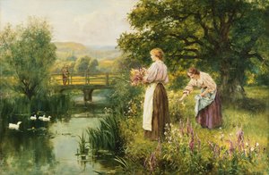 Samler vårblomster,