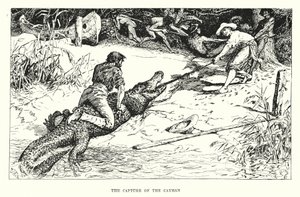 Erobringen av Caymanøyene (gravering) av Henry Justice Ford